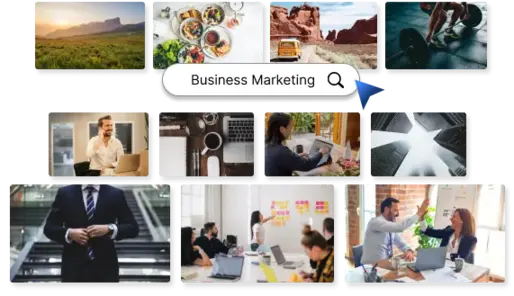 stock image library